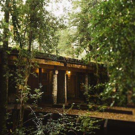 Huilo Huilo Nawelpi Lodge بويرتو فوي المظهر الخارجي الصورة